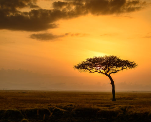 Iconic African Sunrise (KADA003)