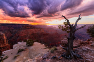 I've been to the Grand Canyon over a dozen times now, but never before have I seen a sunset on fire like this. I went up there with hopes of storms and lightning after dark, but that's almost an impossible ask when you just randomly pick a day to try. But at least I was treated to this amazing sky.